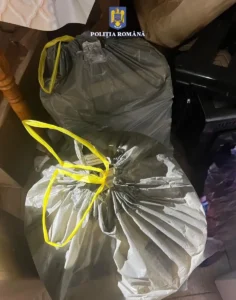 Peste 2 milioane de țigări de contrabandă descoperite în județul Bihor-10