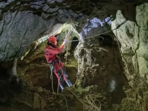 Salvaspeo-Cățelul Bobiță, salvat dintr-o peșteră din Bihor-02