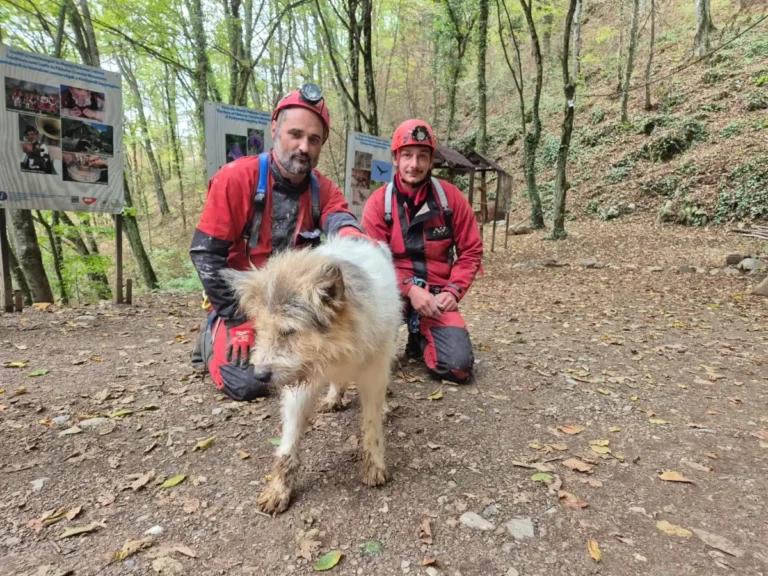 Luptă contracronometru. Cățelul Bobiță, salvat dintr-o peșteră din Bihor