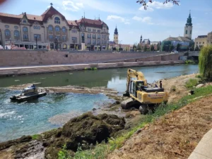 Sute de tone de deșeuri organice extrase din albia râului. Curățenia de toamnă continuă pe Crișul Repede-03