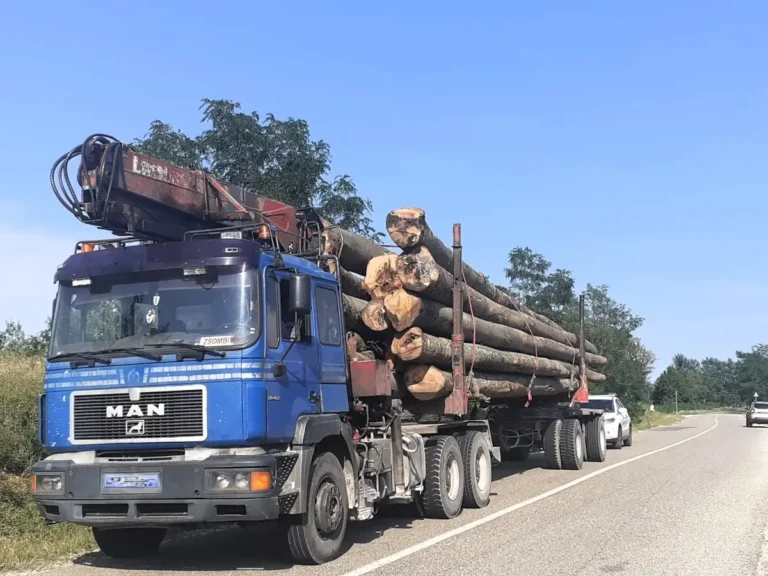 Transporturile de marfă pe drumurile din Bihor, luate la puricat
