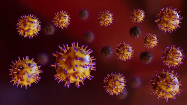 Focare de gastroenterocolită cauzate de norovirus în unități de învățământ din județul Bihor. Boala este extrem de contagioasă