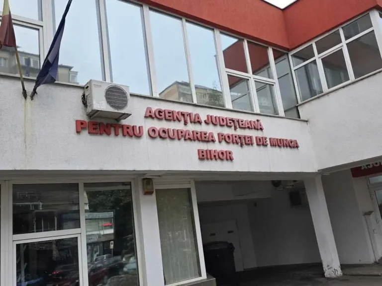 Peste 680 de locuri de muncă, disponibile în Bihor. Cele mai multe sunt în Oradea