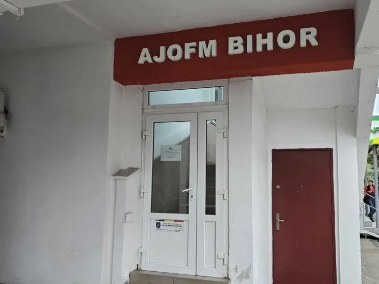 740 de locuri de muncă, disponibile în Bihor. Peste jumătate sunt în Oradea