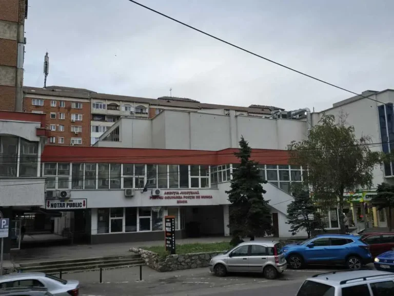 Peste 880 de locuri de muncă în Bihor, aproape 600 în Oradea. Vezi ce caută angajatorii