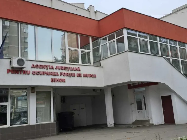 Peste 700 de locuri de muncă disponibile în județul Bihor