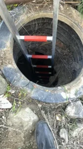 Câine pierdut, salvat dintr-un canal colector de pompierii orădeni-03 Foto: ISU Crișana
