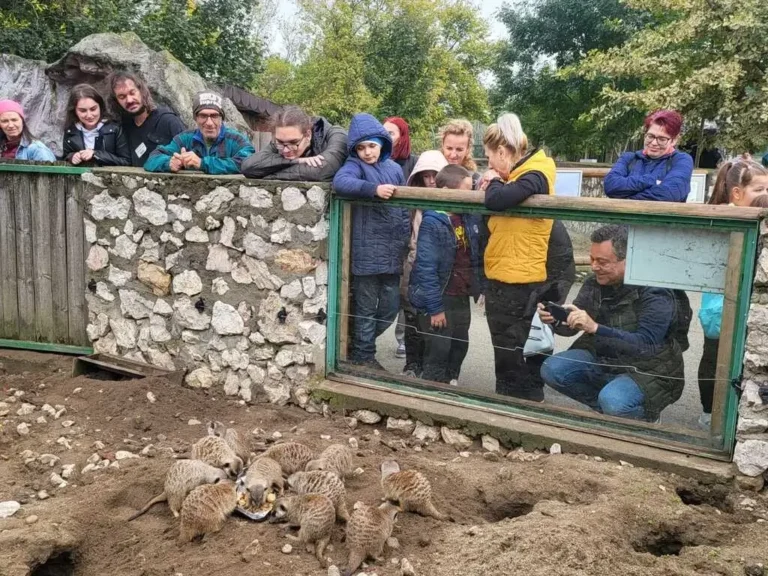 O zi în compania animalelor. Eveniment dedicat părinților adoptivi la Zoo Oradea