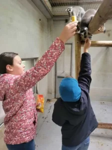 Eveniment dedicat părinților adoptivi la Zoo Oradea-15