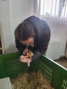 Eveniment dedicat părinților adoptivi la Zoo Oradea-18
