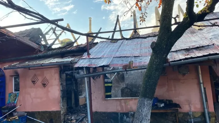 Aproape două ore de luptă cu flăcările la Tăut