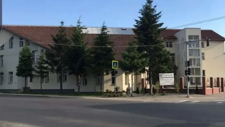 Primăria Sânmartin va asigura masă caldă pentru elevii Liceului Tehnologic „Felix”