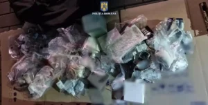 Razii de amploare în Oradea-02 Foto: Poliția Bihor