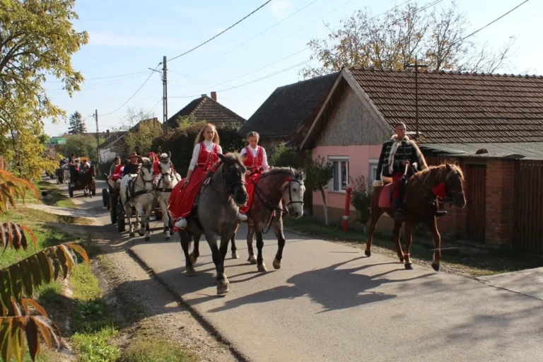 Sărbătorirea recoltei de struguri în comunitatea maghiară din Sîntimreu