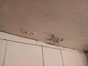 carmangerie amendata Foto: Protecția Consumatorilor Bihor