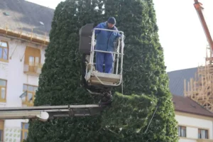 Clădirile emblematice din Oradea îmbracă straie de sărbătoare-18