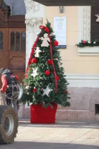 Clădirile emblematice din Oradea îmbracă straie de sărbătoare-24