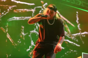 Două nopți pline de distracție la Oradea Arena - Oradea Nights Festival-74