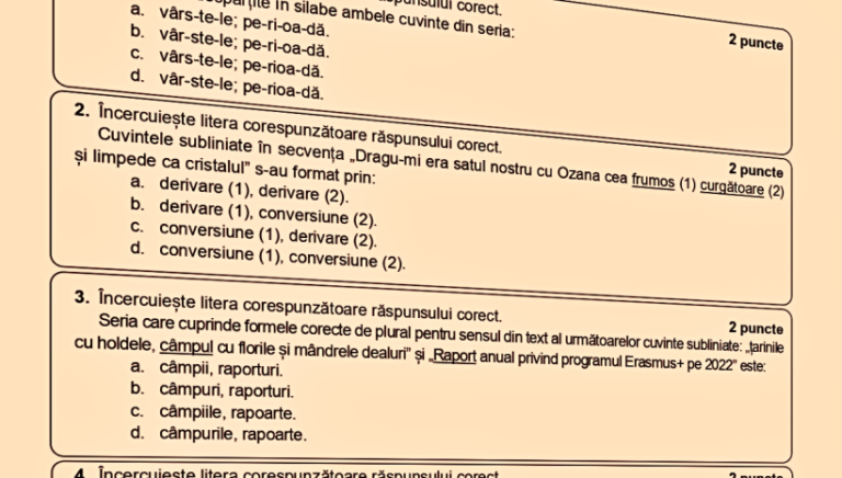 Modele de subiecte Evaluarea Națională 2025, publicate de Ministerul Educației