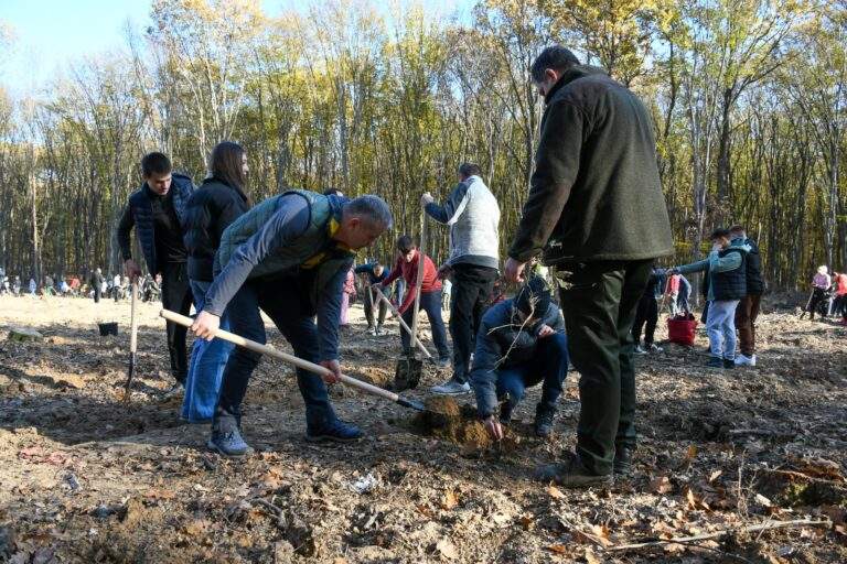 Se amână plantarea de pe dealul Bitiilor și Vârtop