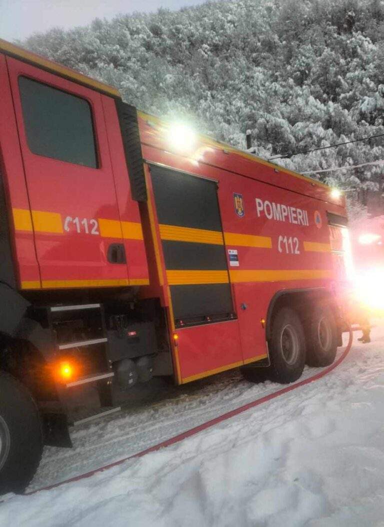 Pompierii au salvat două case și un tractor din calea flăcărilor la Remeți