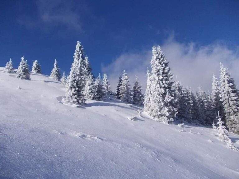Zăpadă de aproape 30 de cm. Avertizare meteorologică: Ninsori și vânt puternic în județul Bihor și împrejurimi
