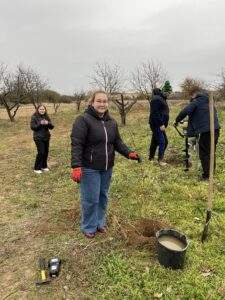 plantare 10