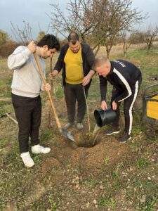 plantare 13