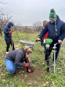 plantare 2
