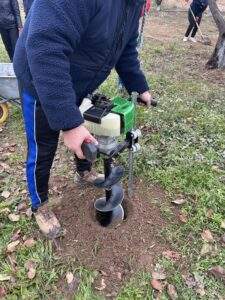 plantare 3