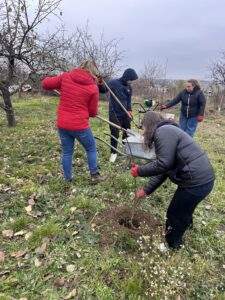 plantare 5