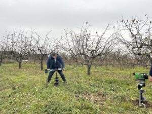 plantare 8