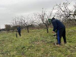 plantare 9