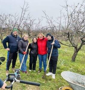 plantare bun
