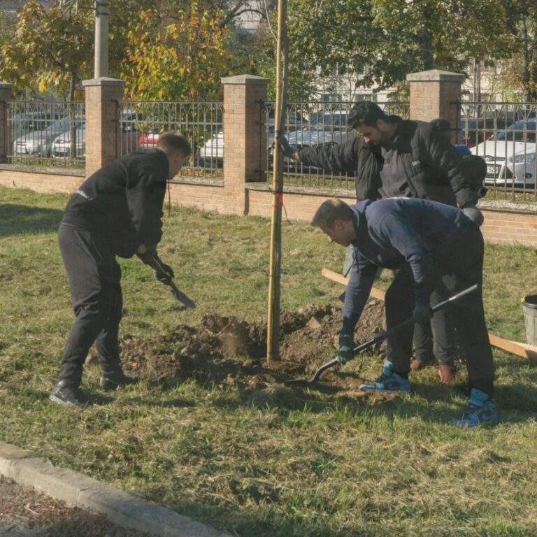 2.500 de arbori vor fi plantați de Primăria Oradea în acest sezon. Operațiunea de udare va fi dotată cu sistem GPS