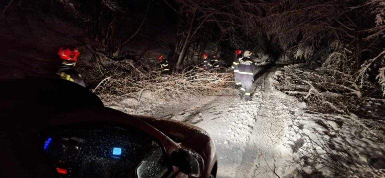 Prima zăpadă serioasă a făcut ravagii în Bihor: copaci doborâți și mii de gospodării fără curent