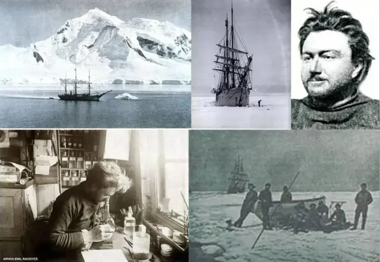 Primul biolog din lume care a studiat viața unor animale și păsări din Antarctica a fost un român!