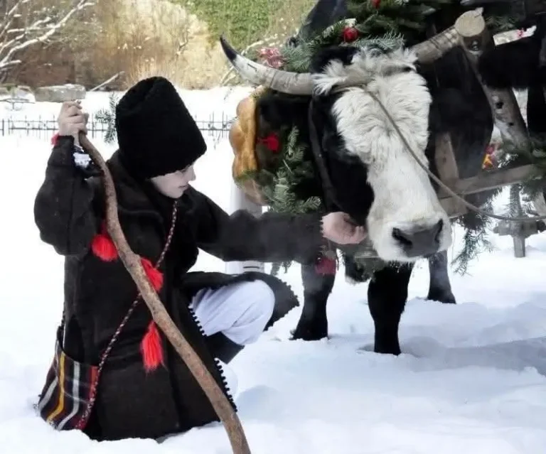 Plugușorul, o comoară a patrimoniului cultural românesc