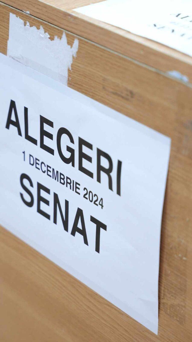 Noi reclamaţii de propagandă electorală online, în Bihor. Dosar penal pentru distrugere