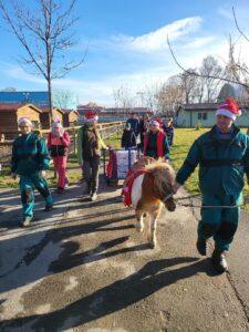 craciun zoo (1)