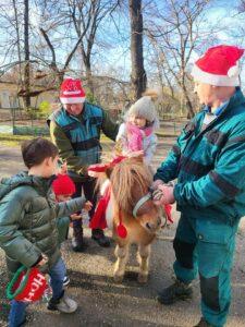 craciun zoo (12)