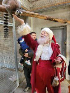craciun zoo (4)