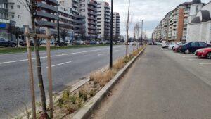 flori 1 (2)
