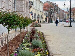 flori 1 (3)