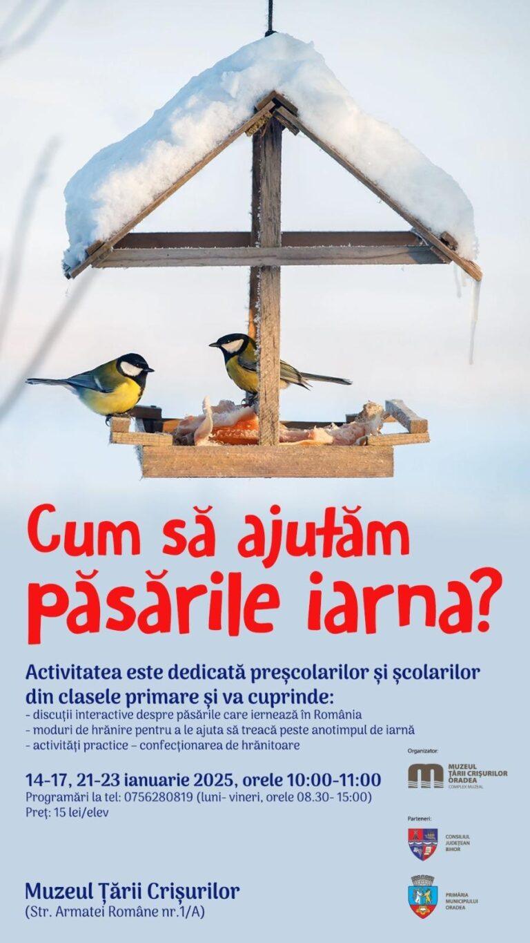Cum să ajutăm păsările iarna? – Atelier inedit pentru copii la Muzeul Țării Crișurilor