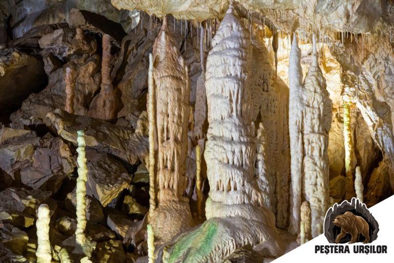 Peștera Urșilor din Bihor, bijuteria subterană a naturii