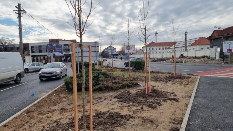 Master Plan pentru conservarea și dezvoltarea fondului arboricol urban