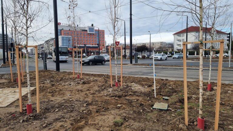 Peste 1.100 de arbori, plantați în Oradea