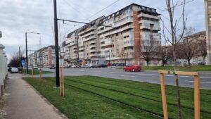 plantare copaci (6)