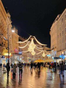 viena targ 2